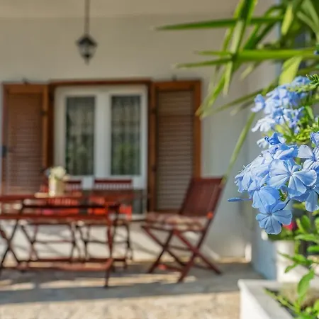 Apartman Mendula *